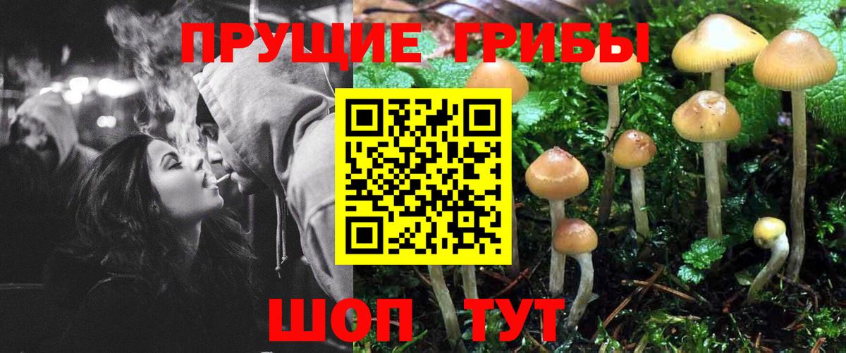 Галлюциногенные грибы Cubensis  Вход с VPN  Феодосия 